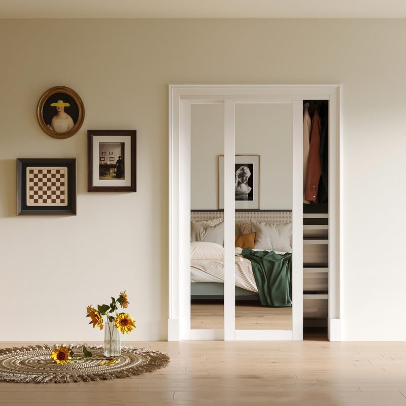 Mirrored Sliding Closet Doors Hardware Kit